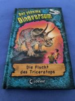 Jugendbücher Konvolut Krimi