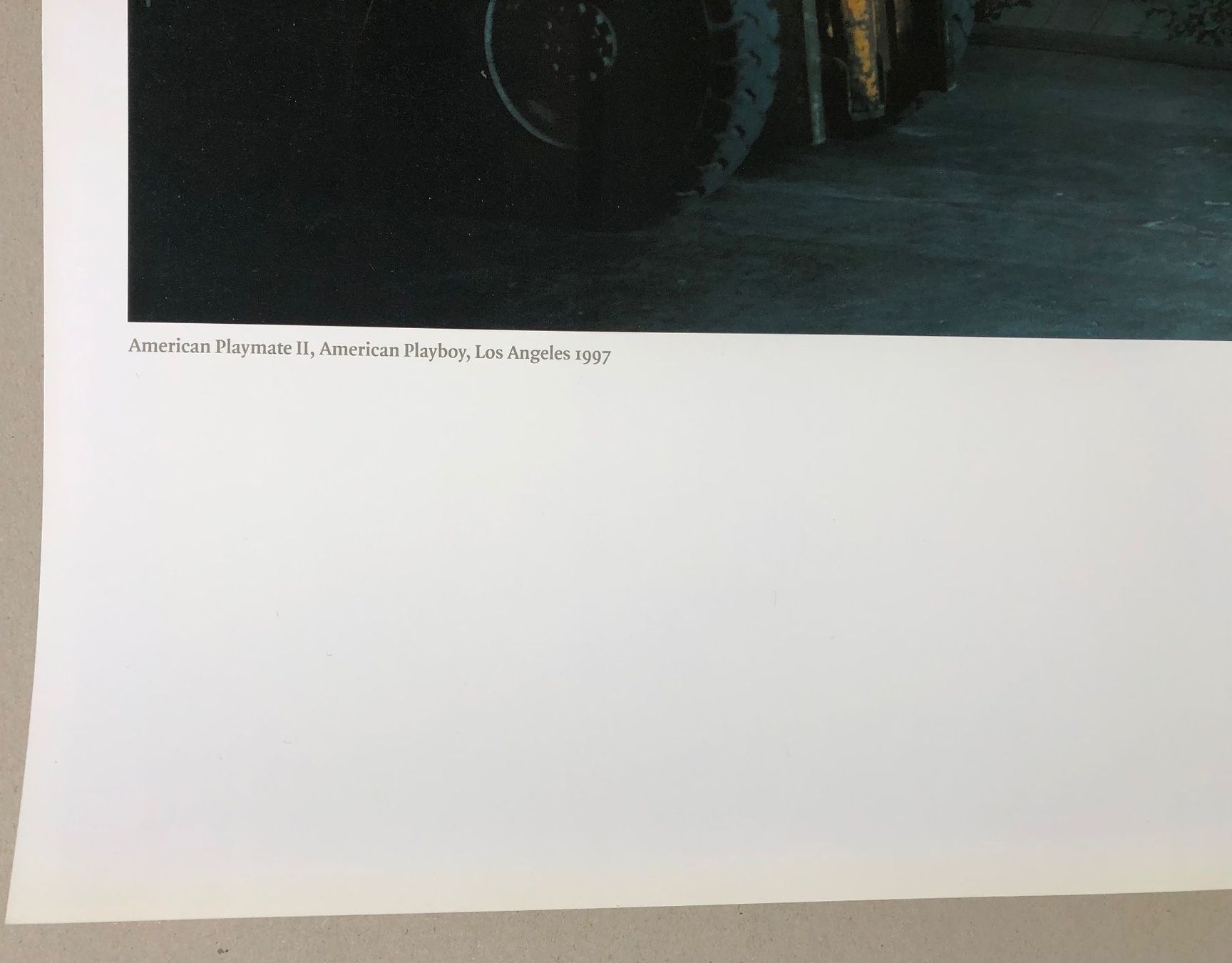 Foto & Immagini: Helmut Newton: Original Sumo Photo – Usato da Meilen venduto da Smgdesign 1
