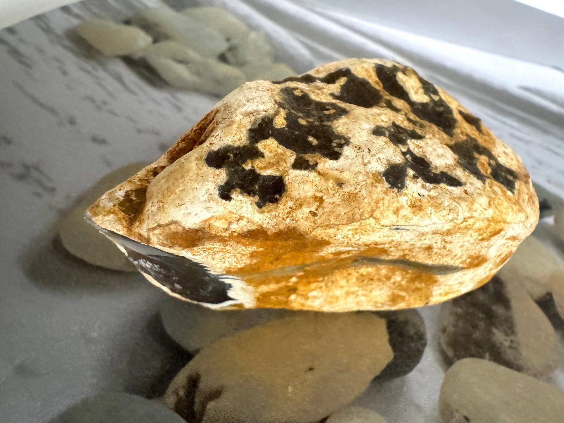Mineralien & Heilsteine: Achat roh – Neu (gemäss Beschreibung) aus Biberist von Steine 2