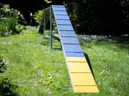 Agility Alu Laufsteg - FCI Masse