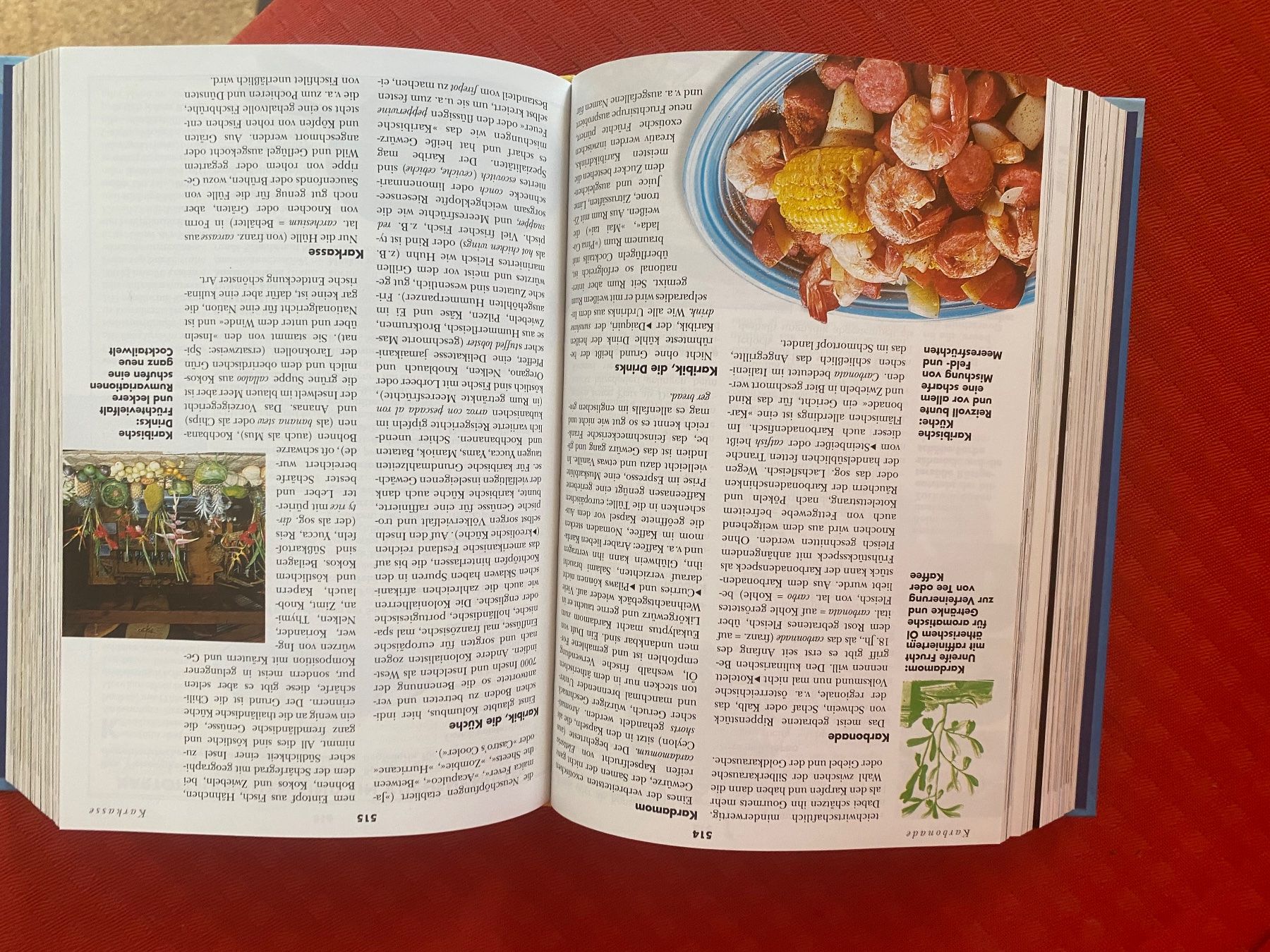Libri: Das Gourmet Handbuch – Usato da Klosters venduto da Rigi98 2