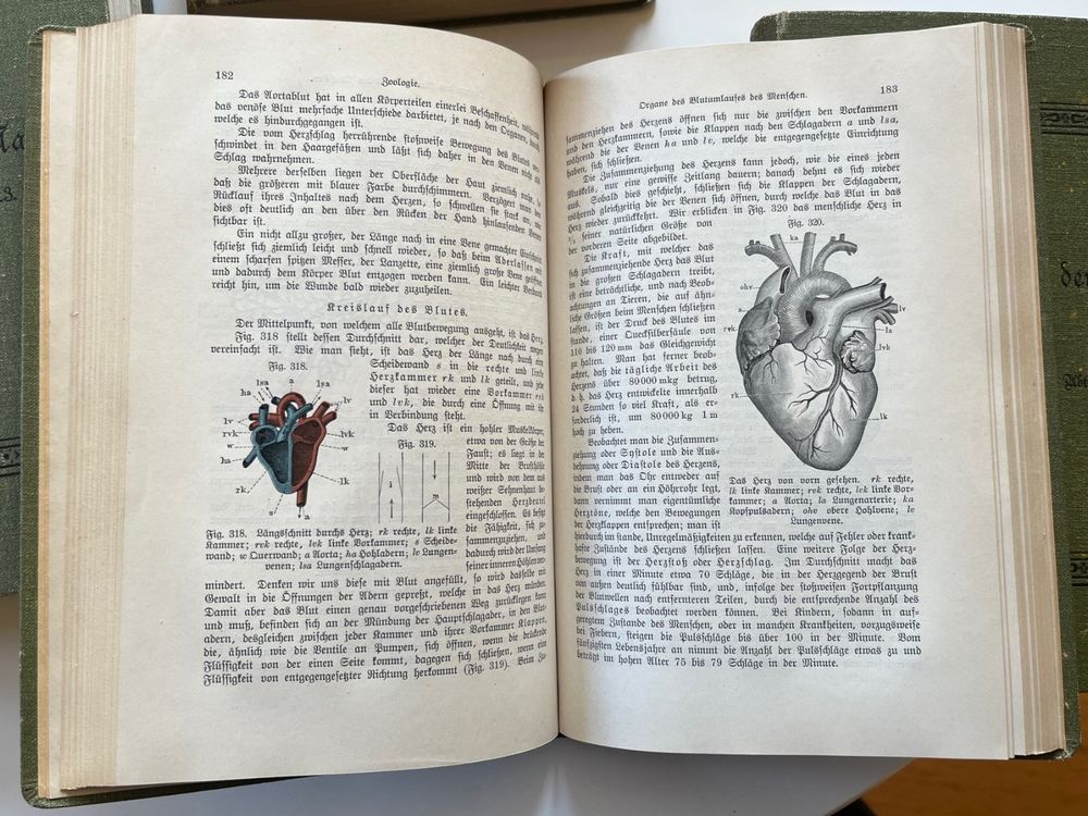 Livres: Schoedlers Buch der Natur 4 Bände 1897- 1904 – D'occasion à Laufen par Nuria44 7