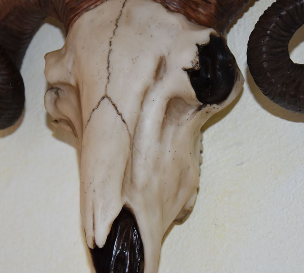 Tutte le decorazioni: Widderkopf Deko – Nuovo e nell'imballaggio originale da Menziken venduto da _Goldis_ 4