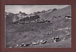 TORRENTALP ob Albinen - 1970