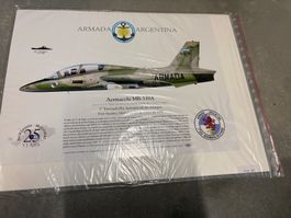 ARGENTINA AERMACCHI MB-339A PRINT