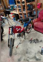 Mofa Sachs 503 rot blau 