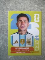 Panini Enzo Fernández ARG 8