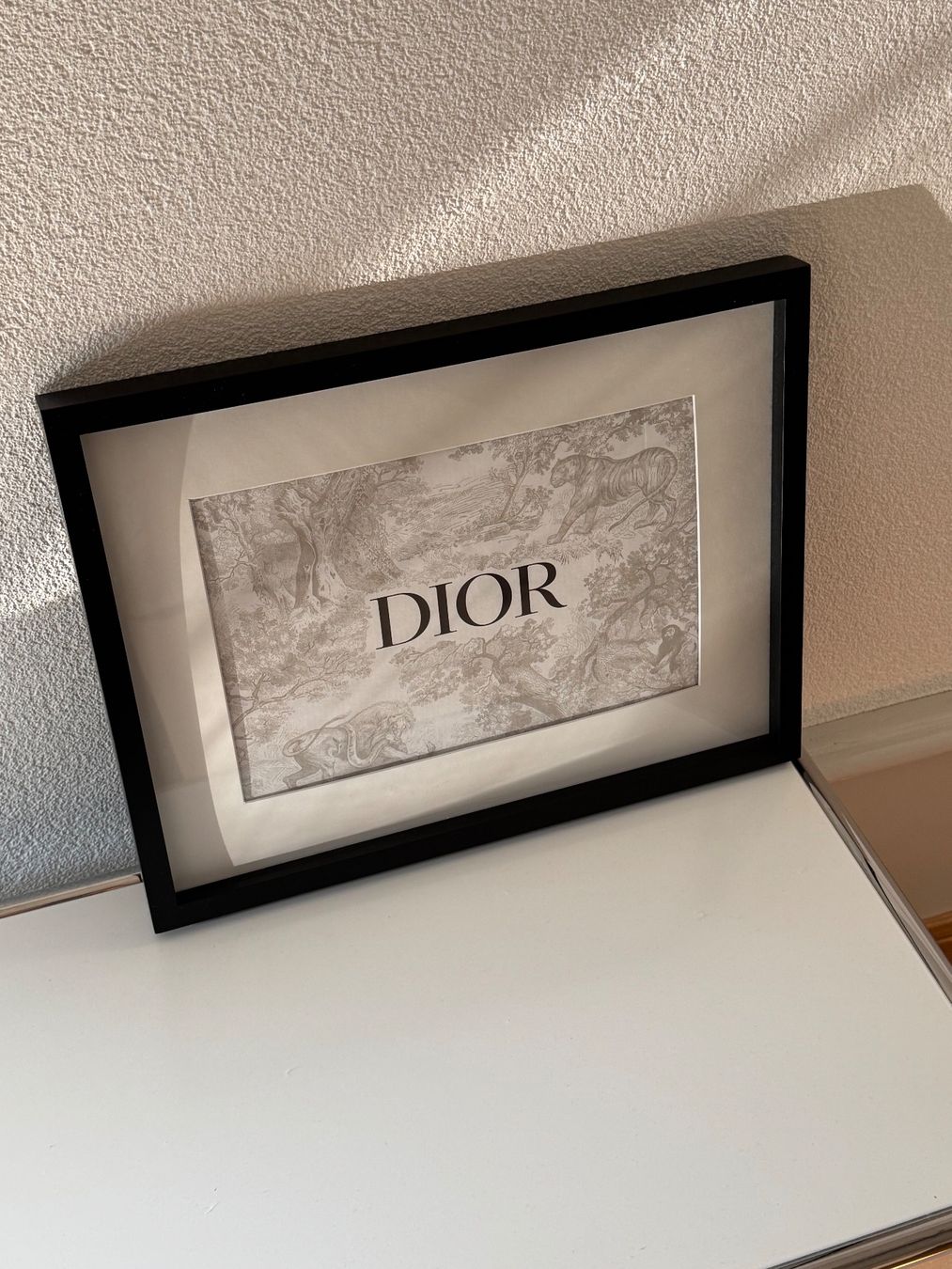 Poster & Bilder: Dior Bild – Gebraucht aus Solothurn von Vintage87 1