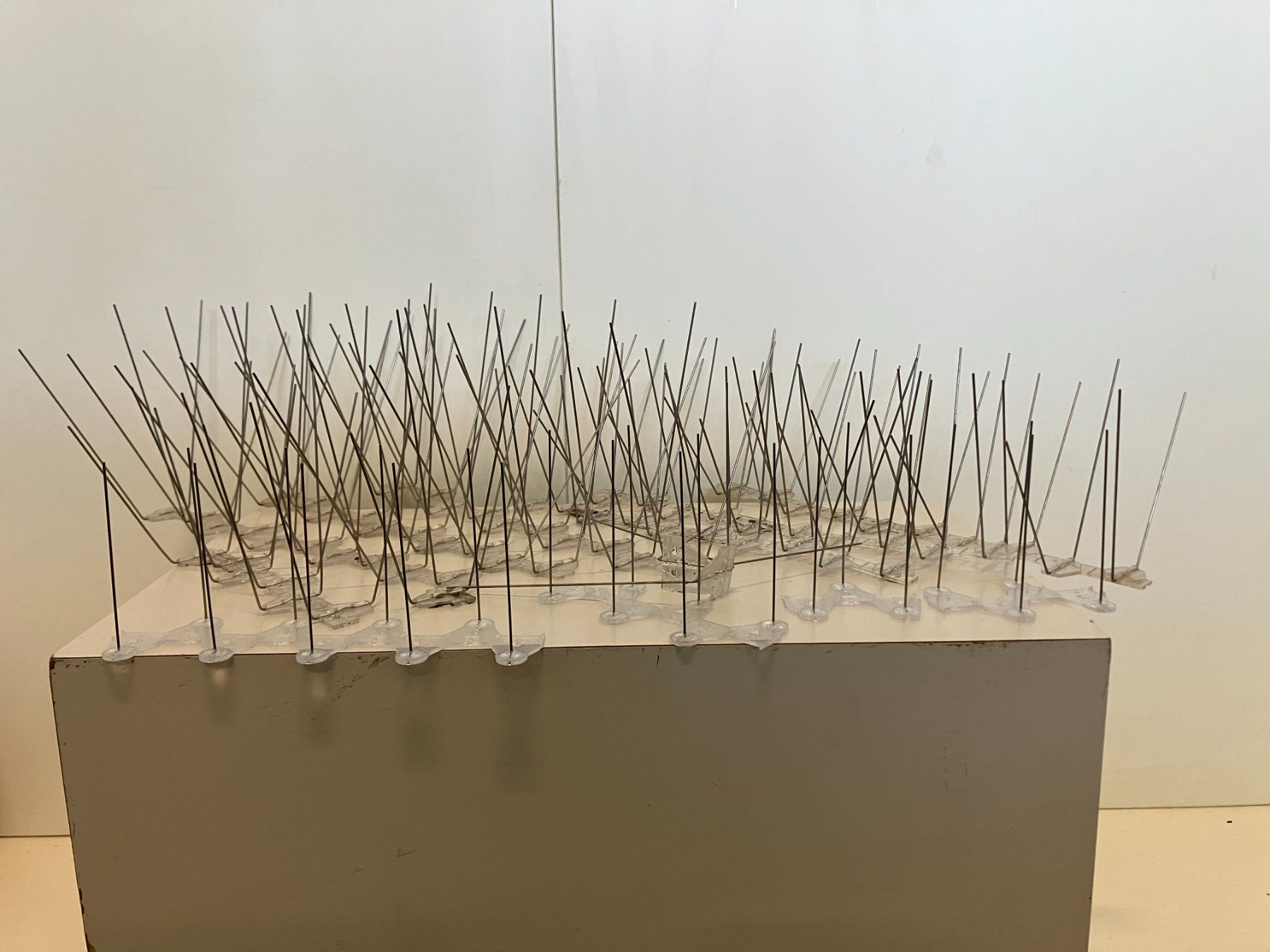 Supporti a parete: Posten div. Anti-Vogel Stacheln fürs Fenster oder ... ab 1.- – Usato da Lichtensteig venduto da Buy24International