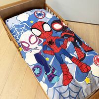 Marvel Spidey Amazing Friends Spider-Man