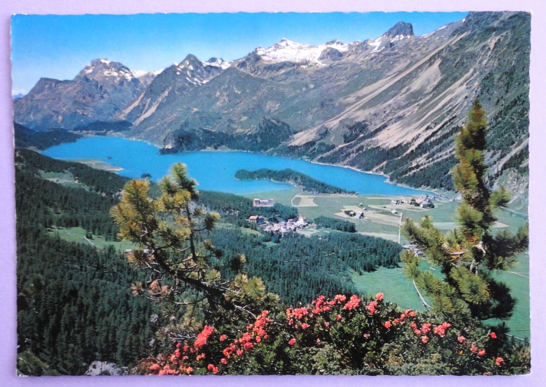 Cartoline postali: Blick auf Sils und Silsersee – Usato da Fétigny venduto da Billy2miny