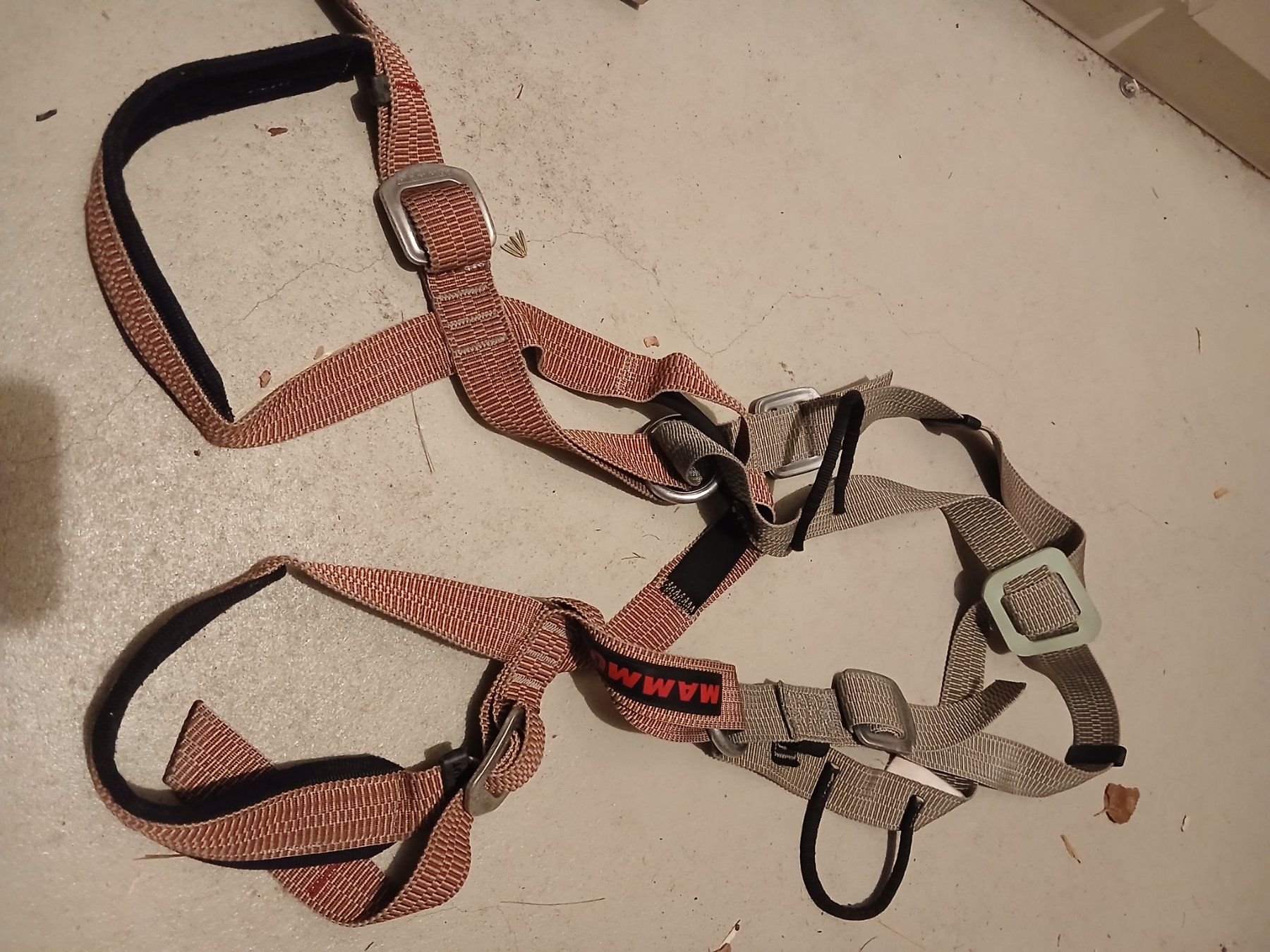 Mammut Kletterausrüstungen: Kinder-Klettergurt – Gebraucht aus Rüfenacht BE von hadi78