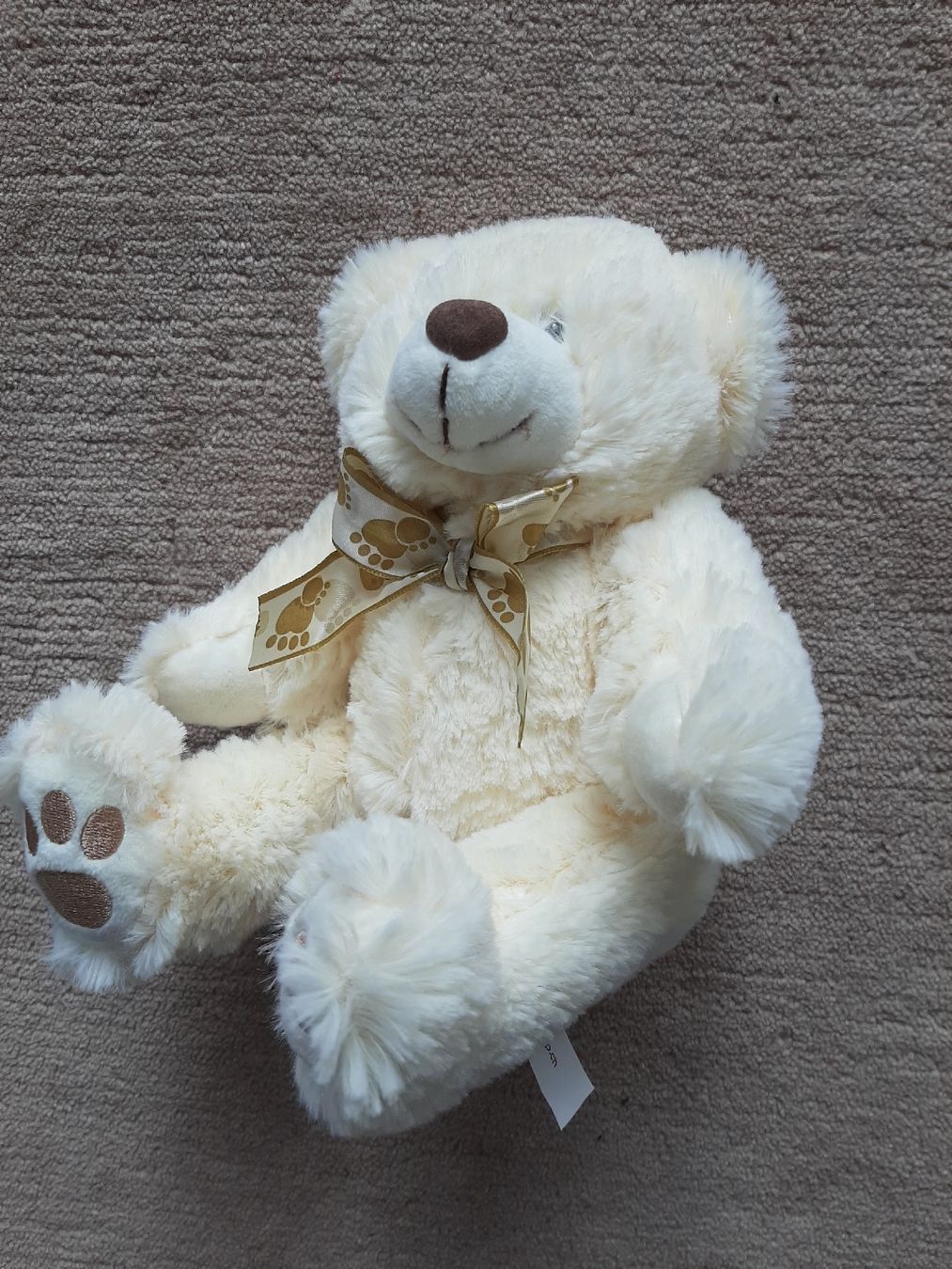 Giocattoli: Kuscheltier Bär / NEU – Nuovo (secondo la descrizione) da Wittenbach venduto da lukelu 1