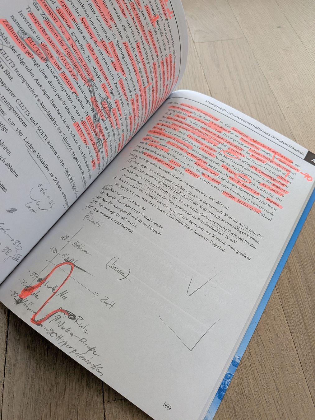 Libri: Ems Coaches NC Lernpaket 2 – Usato da Burgdorf venduto da Laur1nd 6