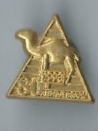 Camel PIN