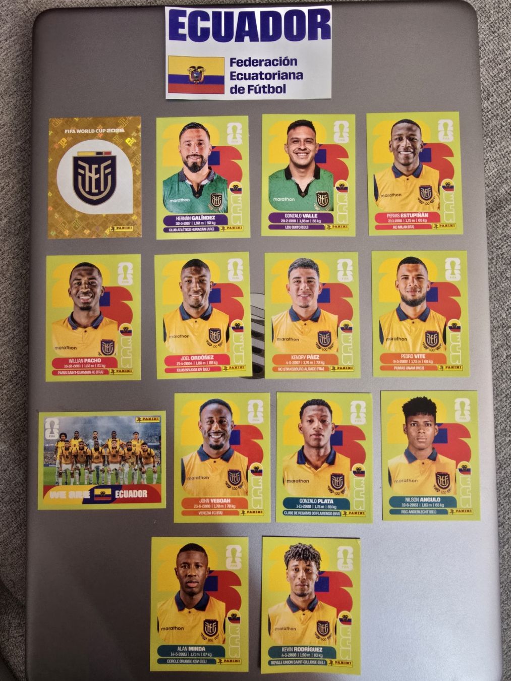 Panini Carte collezionabili: Ecuador Panini WM 2026 – Nuovo (secondo la descrizione) da Zürich venduto da TutNixCH