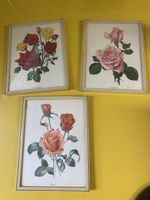 Vintage Rosenbilder, 3er Set, gerahmt, zu verkaufen!
