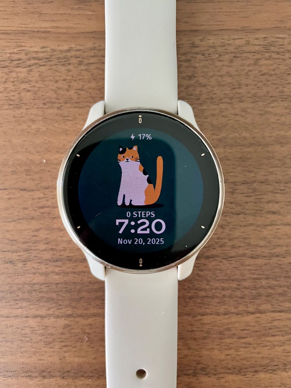 Garmin Smartwatch: Smartwatch - Garmin - Venu 2 Plus - Great Condition – Usato da Steinhausen venduto da oiseau