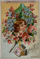 Litho, Liebig, Werbung, Blumen, Flora, Jugendstil