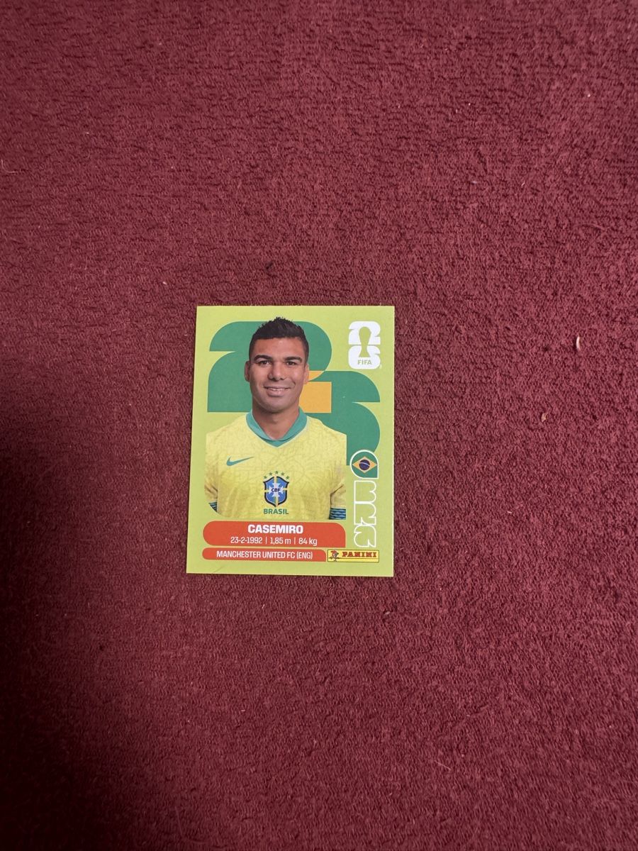 Panini Carte collezionabili: Panini Sticker Casemiro Brasilien Nr. 10 – Nuovo (secondo la descrizione) da Heiden venduto da Sarah139