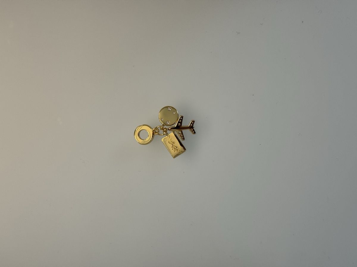 Rimorchi: Charm – Usato da Tagelswangen venduto da Isa036 1
