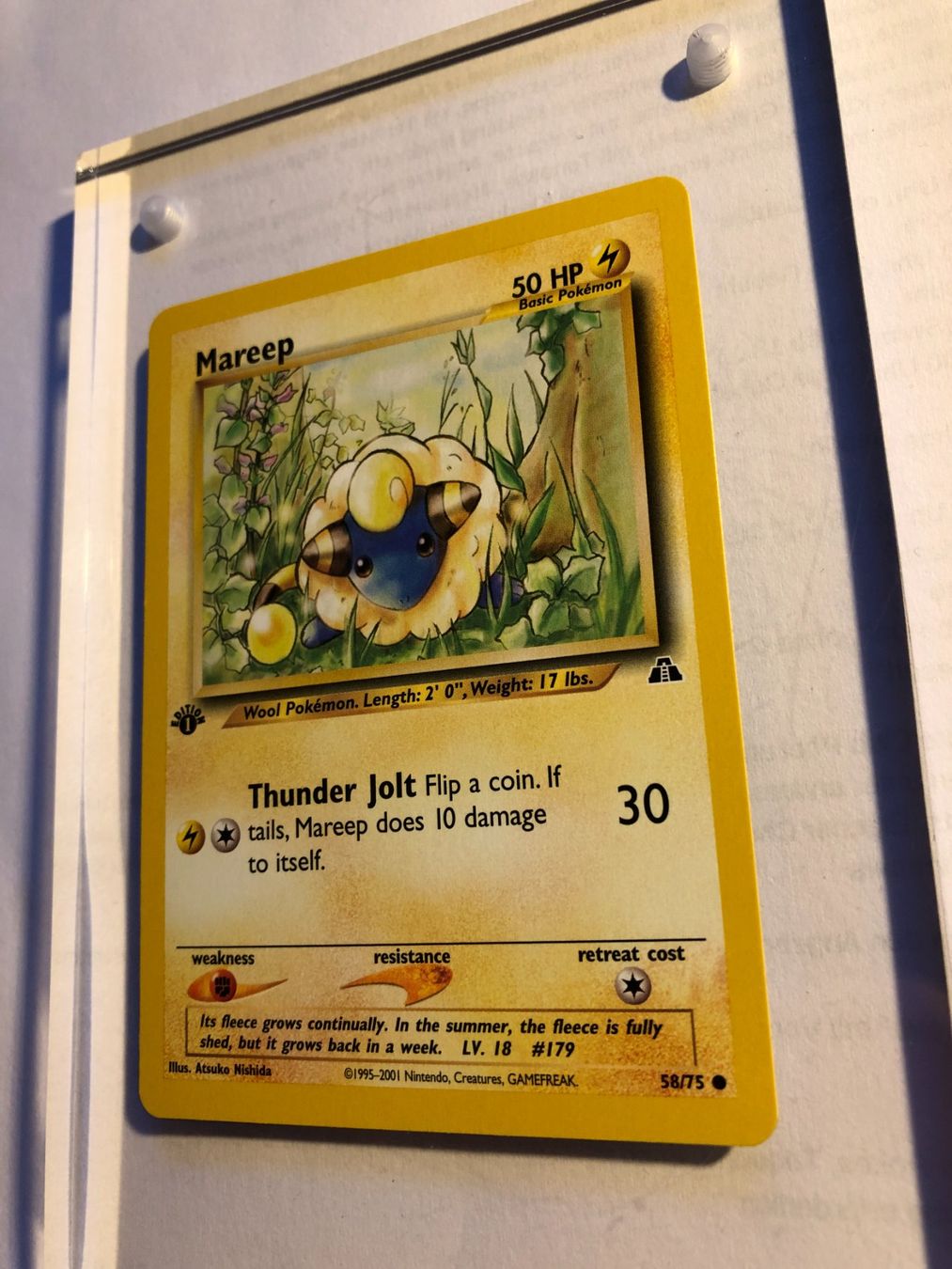 Carte collezionabili: Mareep 1st Neo Discovery - MINT - ab 1.- – Usato da Giubiasco venduto da dan_pr8b 2