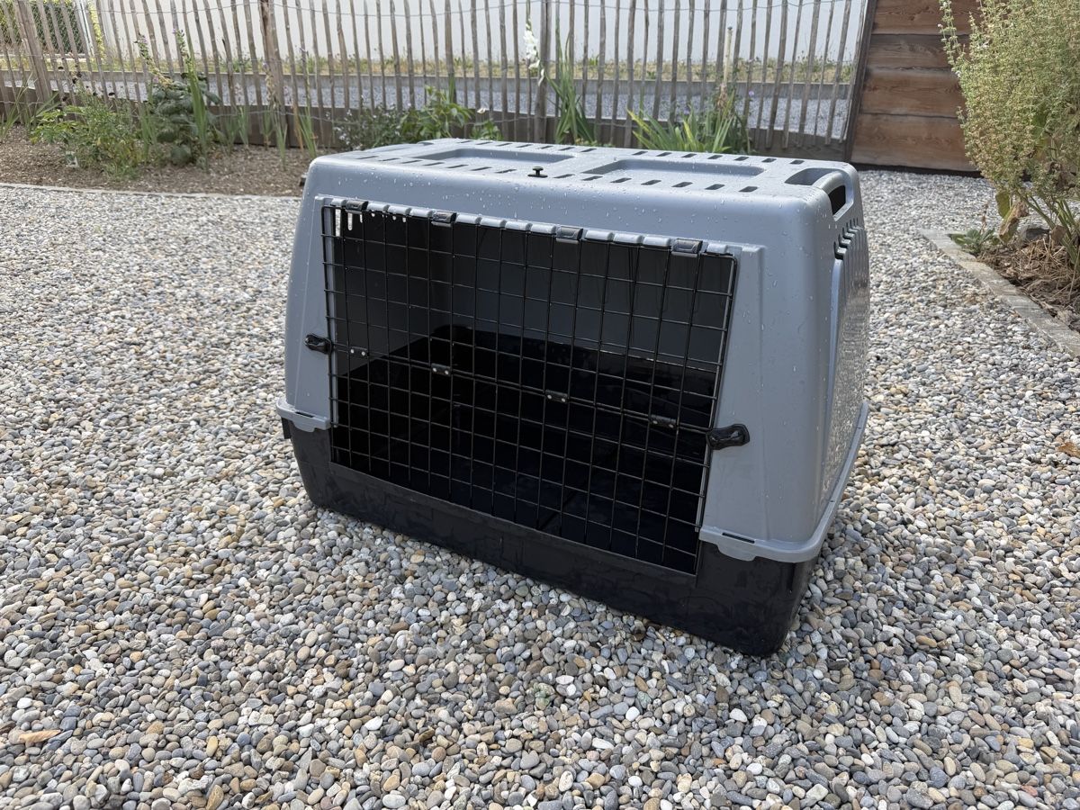 Cages, transport & sécurité: Grosse Hundebox – D'occasion à Othmarsingen par Robimusprime