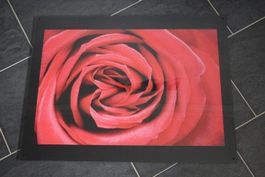 Acrylplatte 60 x 80 cm