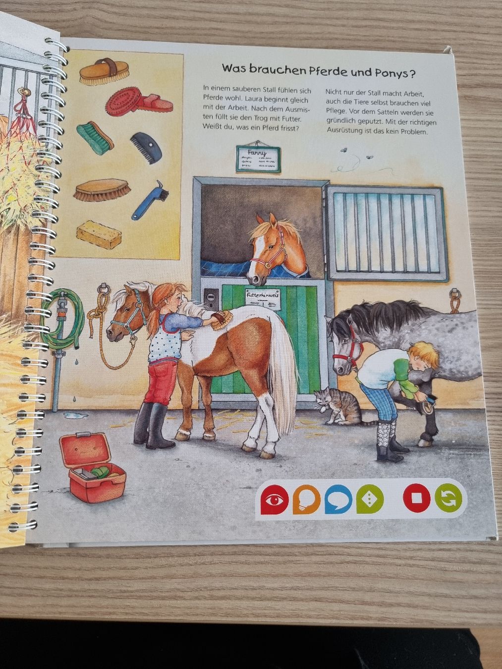Libri: Tiptoi Buch "Die Welt der Pferde und Ponys" – Usato da Luzern venduto da Luzern_Energy 1