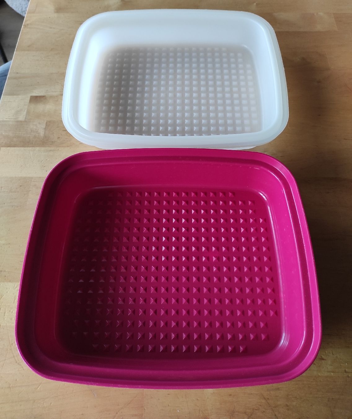 Tupperware Contenitori & Simili: Fleischmarinierer/ Box Tupperware 🍀 – Usato da Steinerberg venduto da Minka10 4