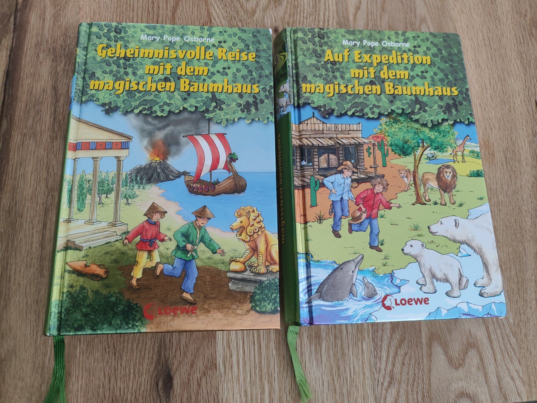 Libri: 2 Bücher Das magische Baumhaus – Usato da Möriken AG venduto da Tigerente12