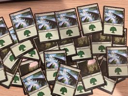 25 Standardländer Magic the Gathering