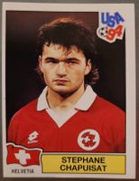Panini WM 1994 Stéphane Chapuisat Nr. 49 Schweiz TOP Zustand