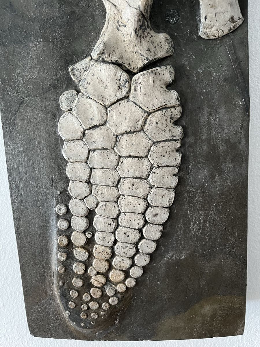 Fossiles: Ichthyosaurier Fossil Holzmaden – Neuf (Voir description) à Orpund par Steinway 1