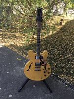 Hollowbody Gitarre in einem Top Zustand