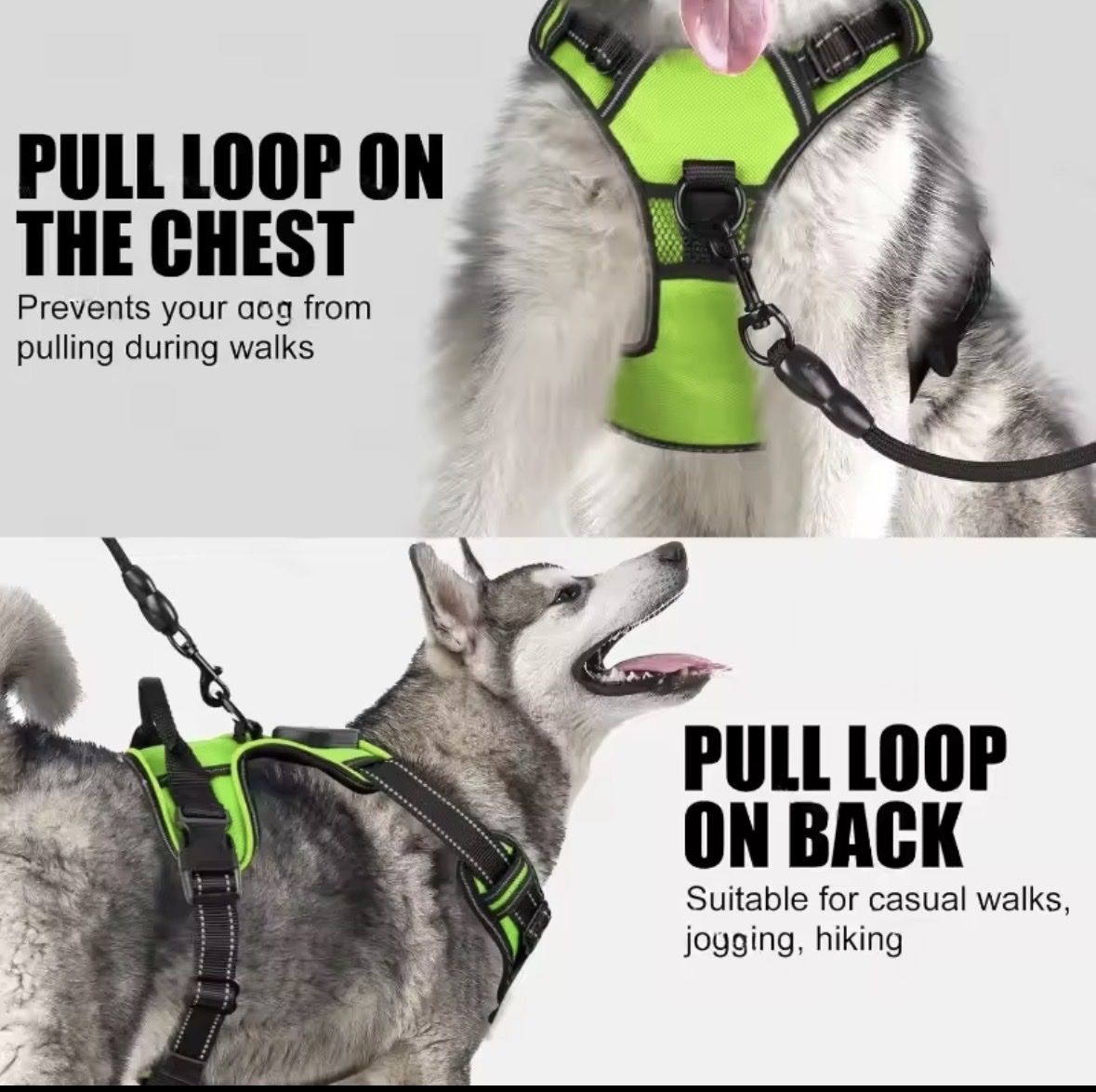 Collier et laisse: Hunde-Geschirr NEU mit Licht – Neuf (Voir description) à Wädenswil par dorodi 1