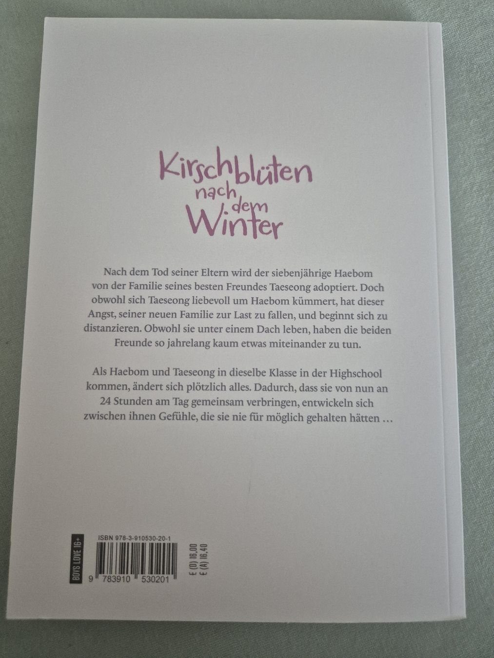 Fumetti: Kirschblüten nach dem Winter - Manga – Nuovo (secondo la descrizione) da Bern venduto da nin_9zt2 1