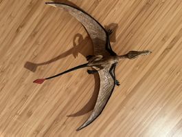 Flugdinosaurier Rhamphorhynchus