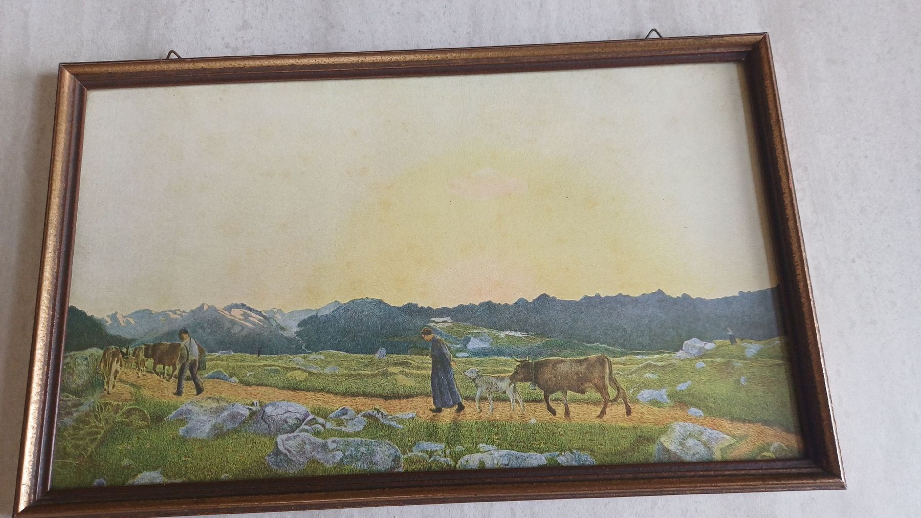 Foto & Immagini: 2 Bilder Segantini  – Usato da Flawil venduto da Naphtali 1