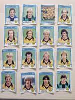Panini Fussball 83 Young Boys Sticker Konvolut 16 Stück