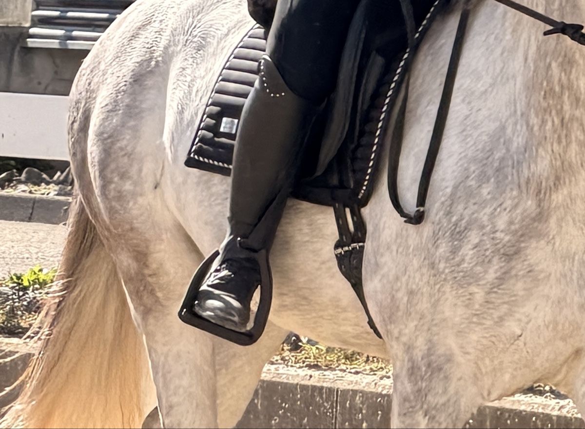 Stinchiere & Fasciature: Chaps Busse schwarz – Usato da Wettswil venduto da Jeennifeer 2