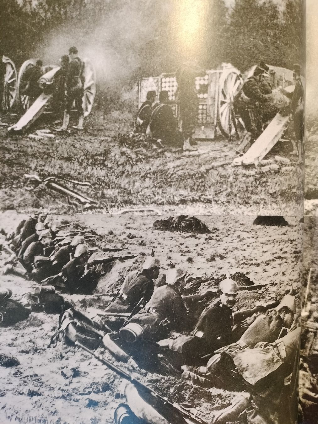 Libri: Buch, Der erste Weltkrieg – Usato da Schwanden Sigrisw venduto da cadieux71 4