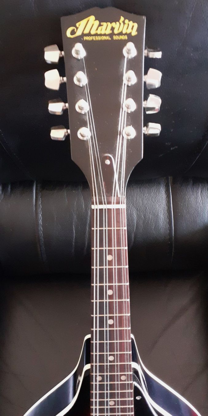 Strumenti musicali: Mandolin MARVIN BELLO   + Fodero – Usato da Locarno venduto da Antonio41 4