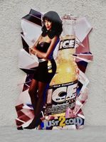 REKLAME BLECHSCHILD SCHILD BIER USA BUDWEISER ICE BEER 86x48