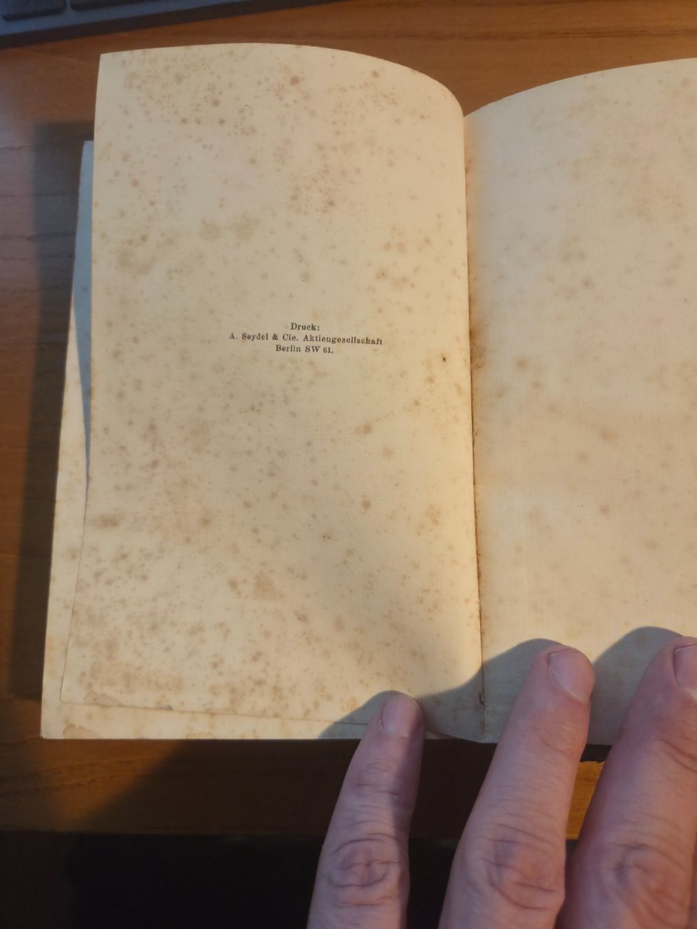 Libri: Cellini – Leben – Goethe – Halbleder 1924 – Usato da Aldesago venduto da lusuardi 8