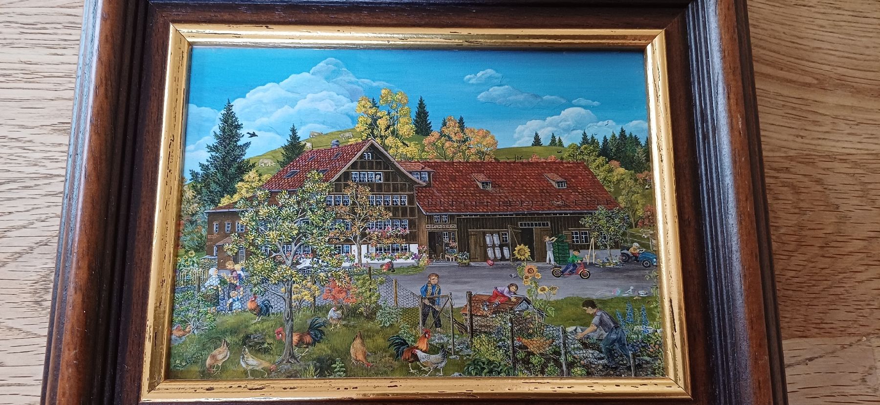 Foto & Immagini: Schönes Appenzeller Bild – Usato da Flawil venduto da Naphtali 8