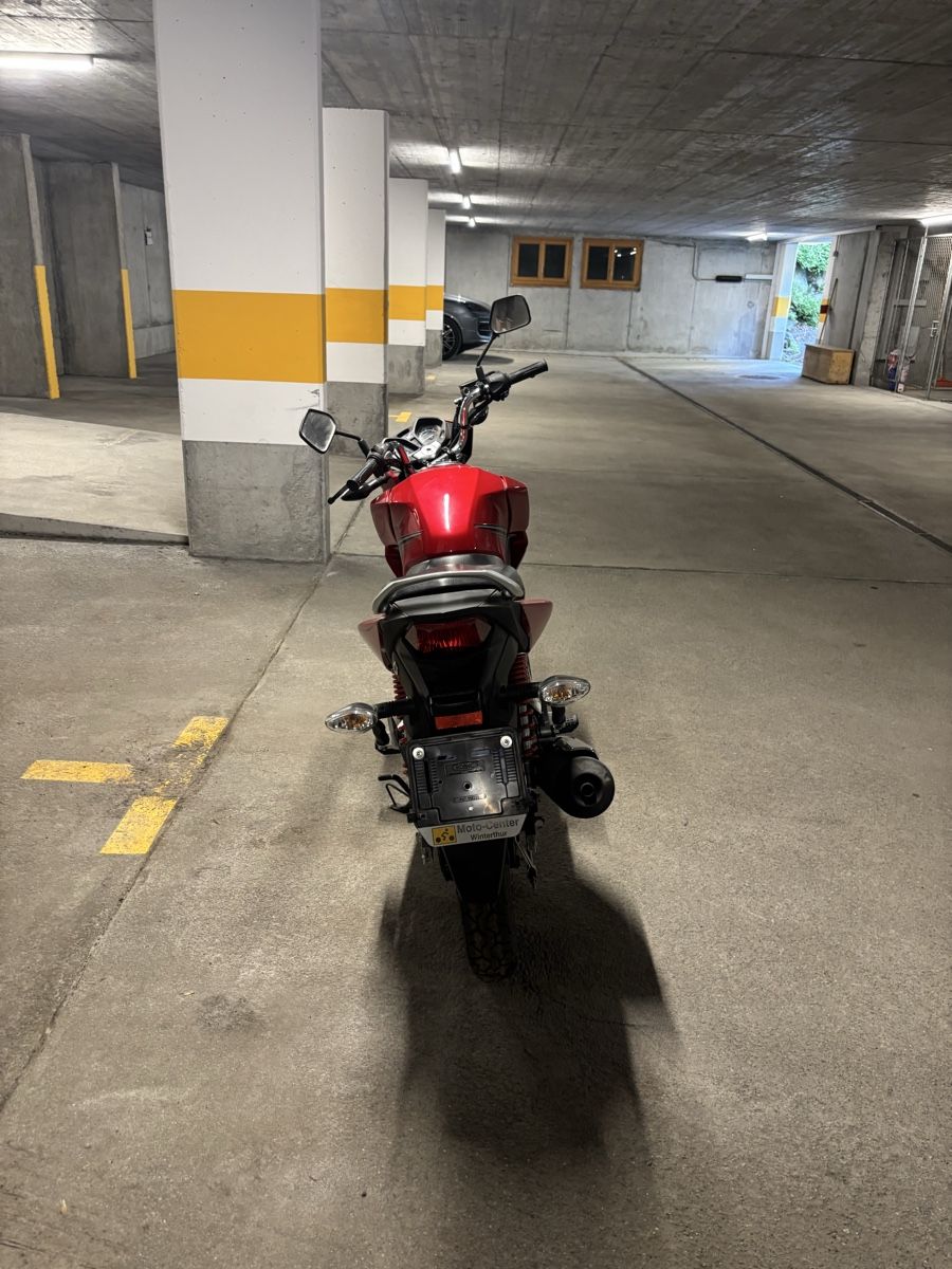 Honda Route: Honda CBF125 – Neuf (Voir description) à Serneus par Eroth_Orraxen 3