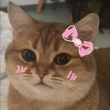 Profile image of CloudFanGurl
