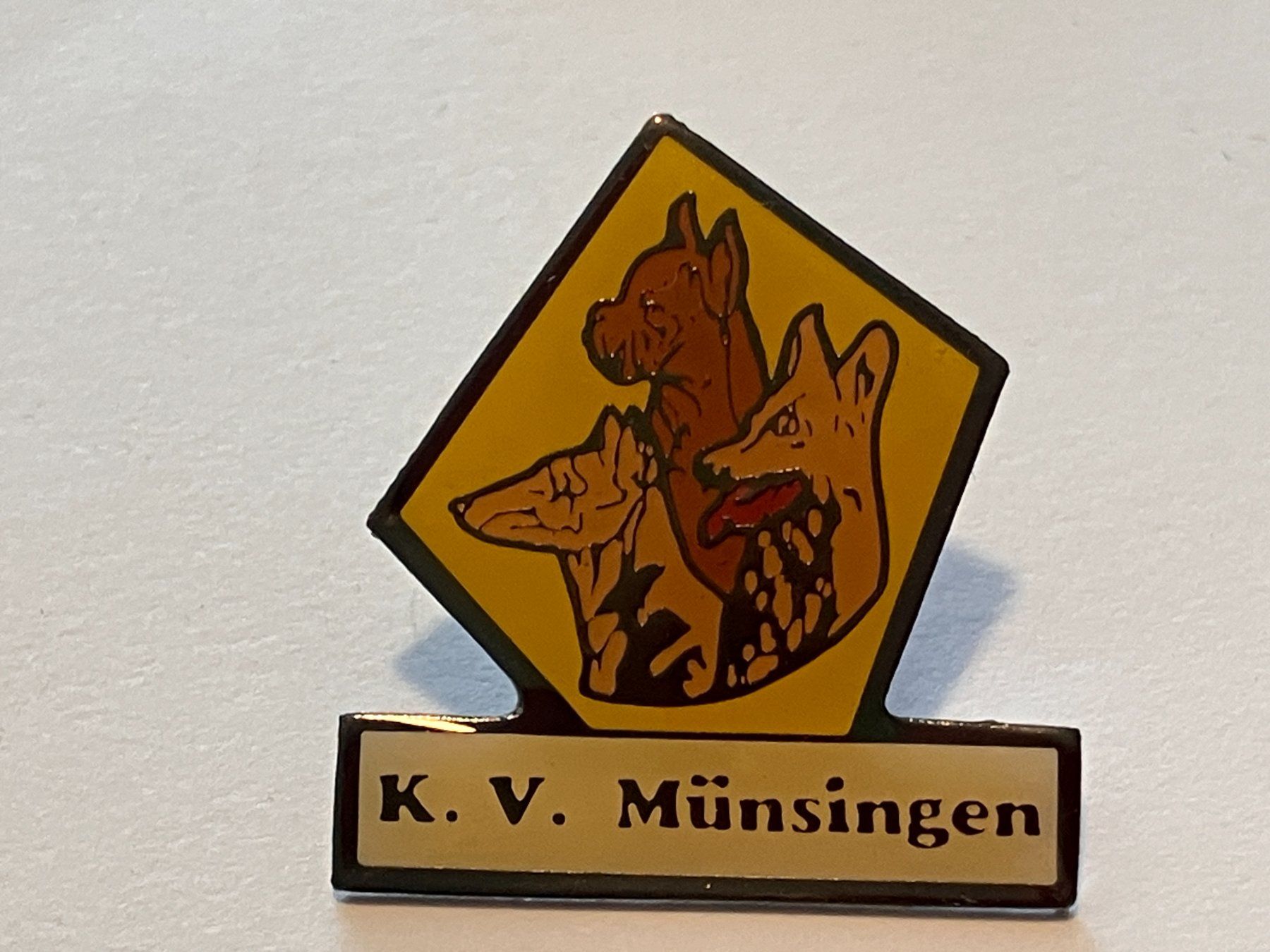 Placchette & Badge: 1 Pin K.V. Münsingen – Usato da Basel venduto da djwwpp