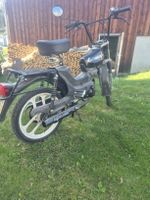 Pony Cross 521